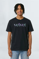 Purple & Teal 'velvet' text on a light background